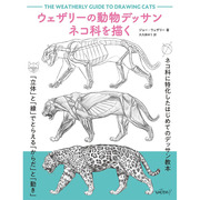 ウェザリーン　ネコ科を描く，韦瑟利的动物素描图 描绘猫科动物 日文原版图书籍进口正版 大久保ゆう 插画技法