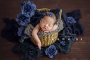 KD新生儿摄影道具主题筐毯子背景仿真花套装组合满月婴儿摄影服装