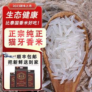 大米新米2024年新米正宗猫牙米泰国香米香米，长粒香大米丝苗米10斤