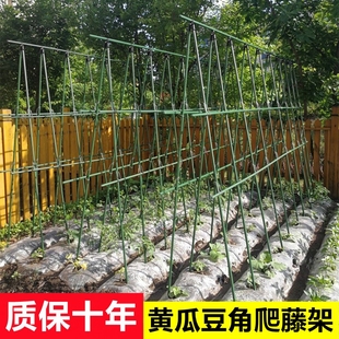 爬藤架花架葡萄番茄豆角黄瓜架子包塑钢管植物种菜搭架园艺支撑杆