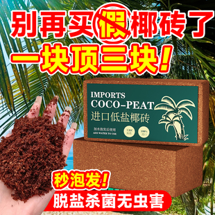 椰砖营养土养花通用型椰土壤椰糠粗椰壳种菜专用花土种植大块耶砖