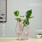 高档创意绿萝水培植物器皿插花花瓶水养绿植容器玻璃花盆透明桌面