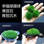 绿藻球散装绿藻球海藻球水草，缸装饰造景，微景缸摆设创意水景观