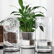 定制水培植物玻璃瓶透明直筒圆柱形花瓶简约绿萝白掌水养玻璃容器