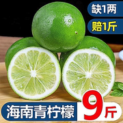 海南青柠檬9斤新鲜水果当季现摘皮薄，多汁一级小青柠金桔香水柠檬