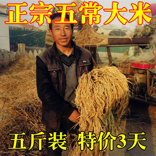 5斤装东北大米，黑龙江五常农家自产特级稻花香2号稻米寿司米粥米
