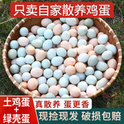正宗土鸡蛋农家散养50枚鸡蛋谷物，饲养草鸡蛋，20枚新鲜绿(新鲜绿)壳蛋柴鸡蛋