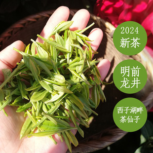 2024新茶叶明前龙井茶250g绿茶杭州茶农自产自销传统纸包春茶