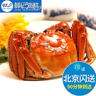 单只 母2.7-3.0两螃蟹北京闪送鲜活大闸蟹满黄满肉大螃蟹河蟹