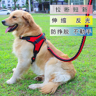狗牵引绳夏天大型犬可伸缩背心式狗绳中型项圈，马犬背带狗链牵引带