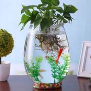 水培植物透明简约鱼缸玻璃瓶绿萝花瓶办公室创意水养鱼缸器皿容器