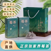 莓茶一级张家界龙须芽尖长寿村土家藤茶100g/罐2024春茶