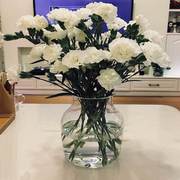 美式彩色透明花瓶水培玻璃插花器客厅桌面干花创意田园花瓶摆件