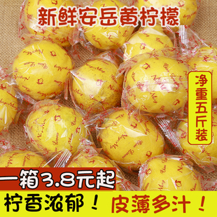 四川安岳黄柠檬(黄柠檬)5斤新鲜水果皮薄，一级香水鲜甜柠檬青特产