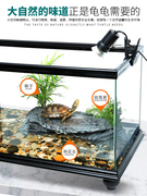 乌龟缸大型底部排水龟缸带晒台免换水玻璃鱼缸生态饲养缸宠物龟箱