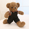 泰迪熊小熊公仔毛绒玩具熊布娃娃，抱抱熊熊女生玩偶可爱萌生日礼物