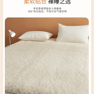 纯色羊毛款加厚亲肤床褥软床垫榻榻米可折叠秋冬家用持久保暖床垫