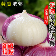 云南紫皮独头蒜2024新蒜大蒜头新鲜紫皮独蒜干蒜现挖9斤蔬菜当季