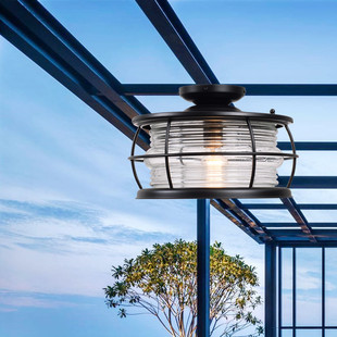玻璃阳光房专用吸顶灯户外房檐，室外餐厅雨棚庭院，led照明吊灯超亮