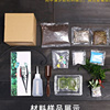 12cm切口瓶苔藓微景观，diy材料套装办公室内桌面，迷你盆景绿植组合