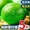 海南重庆安岳现摘青柠檬，5斤应当季新鲜水果现摘小青柠金桔香水柠