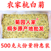 杭白菊桐乡朵花朵菊散装无硫磺不特级贡菊花茶500g