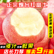 正宗山东烟台苹果礼盒装甜脆红富士供应新鲜水果店长