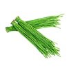 高产三尺绿豇豆种籽 翠绿油亮 20粒3元 原包分装 满28元
