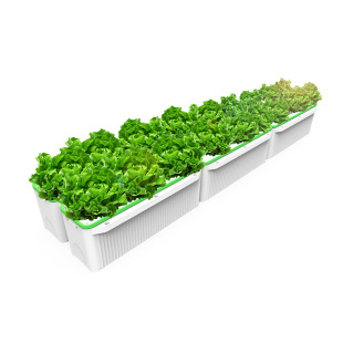 阳台种菜花盆机设备家庭室内菜园水培无土栽培有机蔬菜种植箱