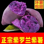 2024新鲜紫薯农家沙地紫薯紫糖心，蜜薯甜山芋，番薯地瓜红薯紫心薯
