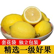 安岳新鲜黄(新鲜黄)柠檬一级中大果5斤奶茶店专用现摘皮薄多汁泡水水果