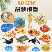 仿真海洋玩具4d拼接立体鹦鹉螺章鲨鱼鲸鱼，螃蟹海马小丑鱼动物模型