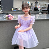 女童连衣裙夏装紫色公主裙儿童时髦洋气蓬蓬纱女宝宝短袖礼服裙子