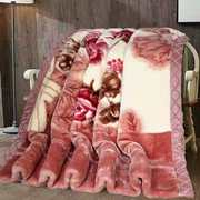 双层加厚拉舍尔毛毯秋冬季双人珊瑚绒毯子午睡毯结婚婚庆绒毯被子