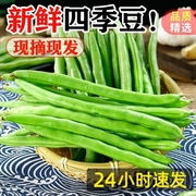 广西四季豆新鲜应季9斤农家蔬菜时令豌豆毛豆荷兰豆5四角甜豆