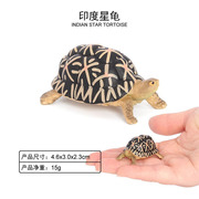 儿童玩具仿真海洋动物龟模型迷你乌龟陆龟海龟甲鱼认知盆景观摆件