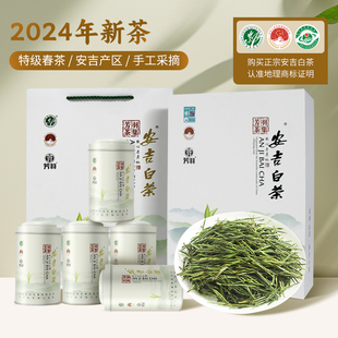 2024年新茶上市芳羽安吉白茶礼盒装250g特级珍稀高山绿茶春茶叶