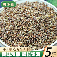 黑小麦仁5斤新货农家自产黑麦杂粮