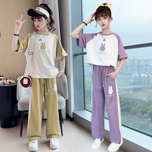 女童夏装套装2023韩版洋气夏季中大儿童女孩阔腿裤短袖两件套