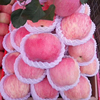 山西吉县壶口红富士苹果水果，新鲜应当季整箱，脆甜冰糖10斤产地