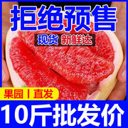 红心柚子10斤蜜柚新鲜水果整箱文旦柚子正当季葡萄沙田三红肉整箱