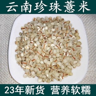 版纳半透明珍珠薏米，云南特产500g糯薏仁米，薏米小苡仁小薏米