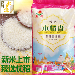 禾稻香象牙香油粘30斤丝苗新晚稻农家大米15kg软香长粒猫牙米