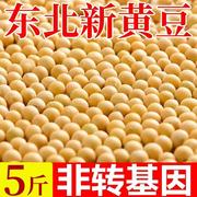 黑龙江东北新货非基因改造新黄豆农家自种大豆生豆芽打豆浆专用豆