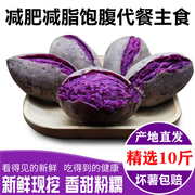紫薯减小个小肥紫薯低脂，新鲜沙地红薯地瓜，板栗蜜薯蔬菜番食材食物