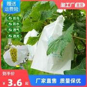 葡萄套袋专用袋防虫，防鸟套育袋葡，纸袋葡萄袋果袋袋子防水专用
