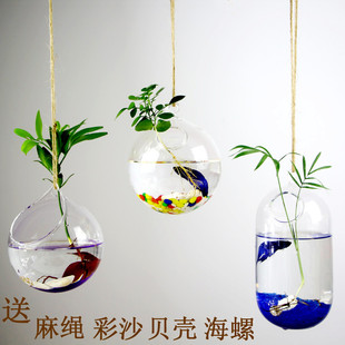 创意悬挂玻璃花瓶吊挂小鱼缸绿萝水培，植物透明花瓶家居墙壁装饰品