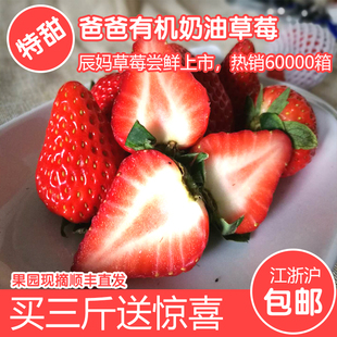 新鲜草莓红颜草莓现摘现发草莓越秀草莓奶油草莓建德草莓3斤