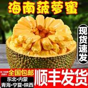 海南三亚菠萝蜜新鲜水果，当季黄肉一整个20-40斤木波罗蜜