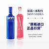 深蓝SKYY蓝天原味伏特加 X冰粉红利口酒组合750ml*2进口洋酒